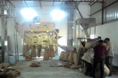 Seed Processing Unit 1