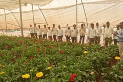 farmers training to polyhouse